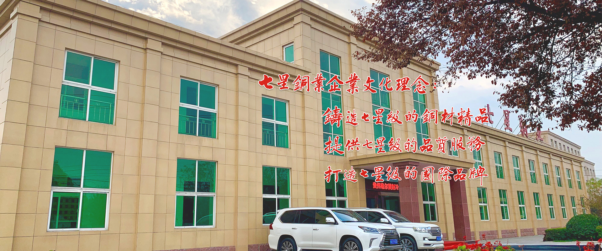mg森林舞会