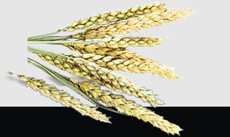 中国·6163天河(股份)有限公司-官方网站