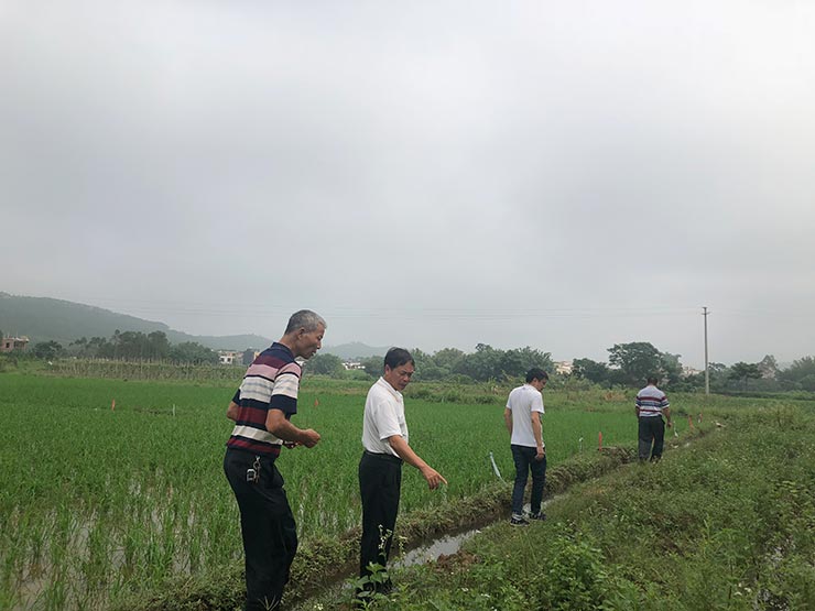 中国·6163天河(股份)有限公司-官方网站