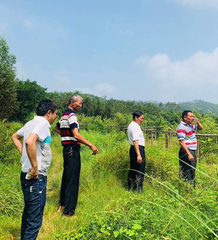 中国·6163天河(股份)有限公司-官方网站