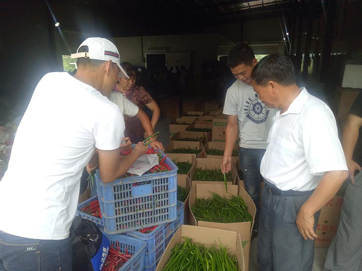 中国·6163天河(股份)有限公司-官方网站