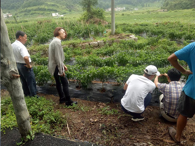 中国·6163天河(股份)有限公司-官方网站