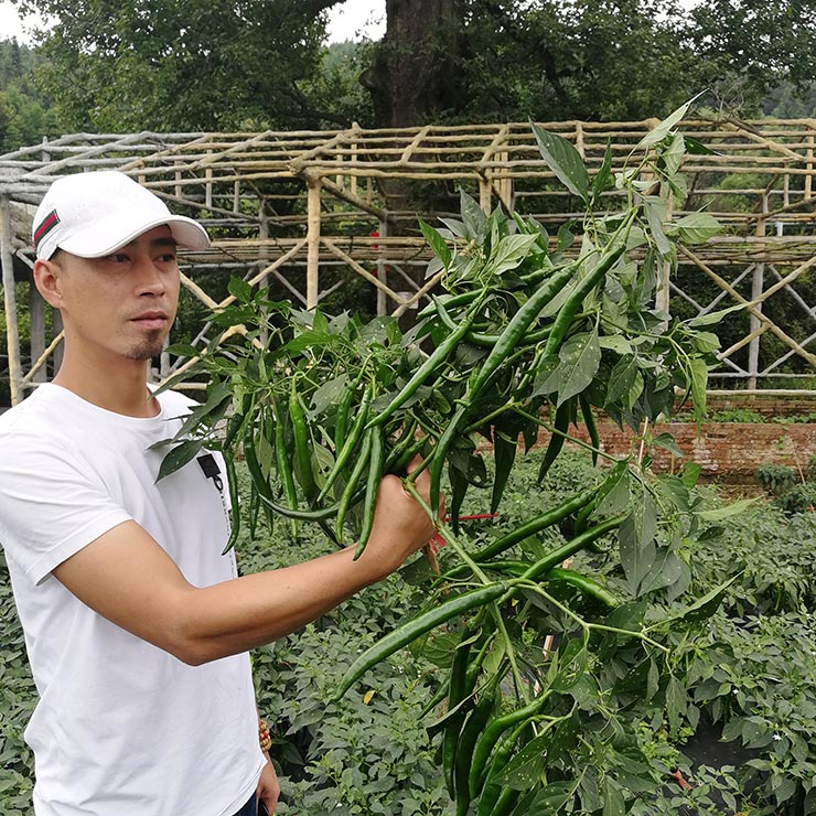 中国·6163天河(股份)有限公司-官方网站