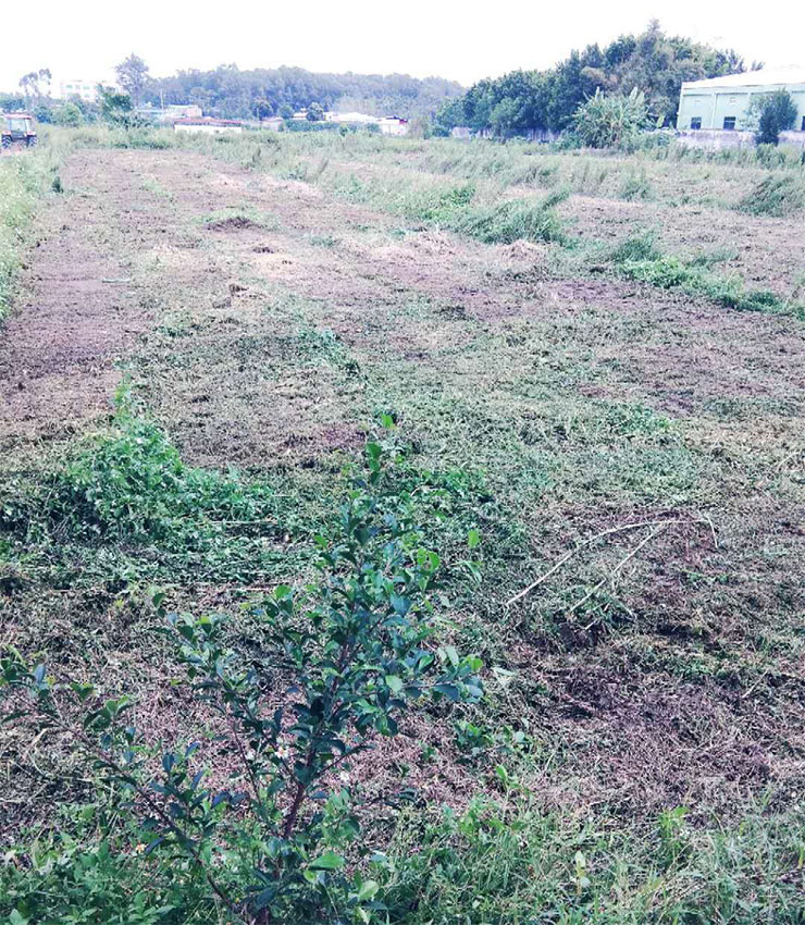 中国·6163天河(股份)有限公司-官方网站