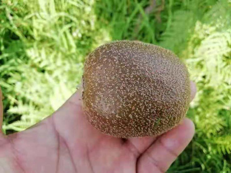 中国·6163天河(股份)有限公司-官方网站