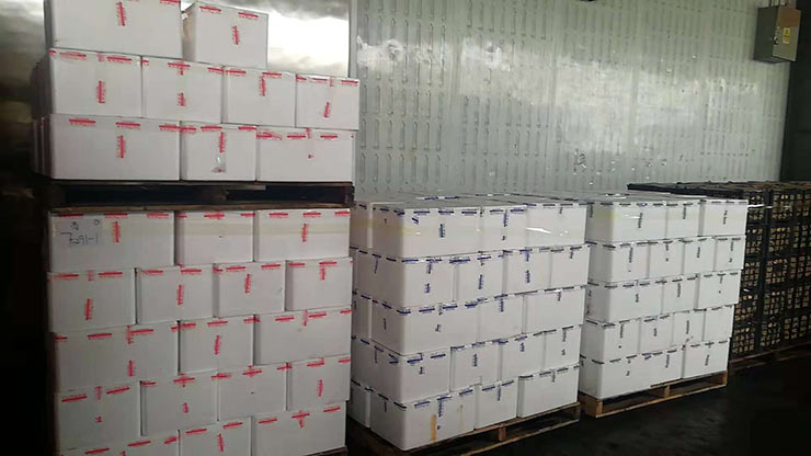 中国·6163天河(股份)有限公司-官方网站