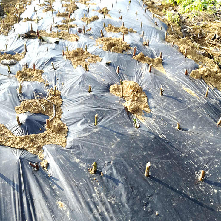 中国·6163天河(股份)有限公司-官方网站