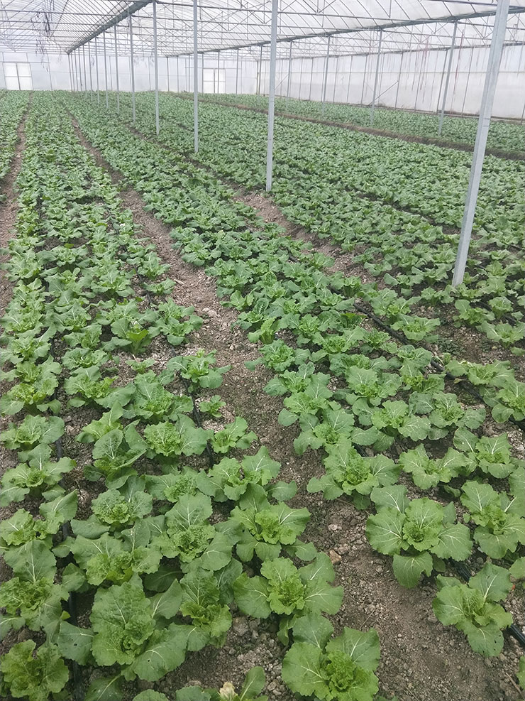 中国·6163天河(股份)有限公司-官方网站