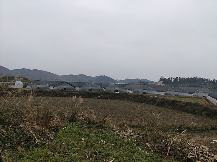 中国·6163天河(股份)有限公司-官方网站