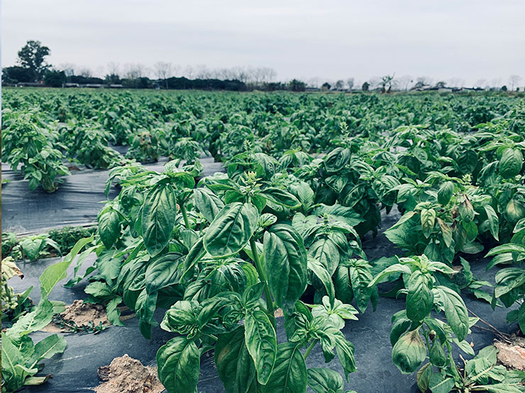 中国·6163天河(股份)有限公司-官方网站