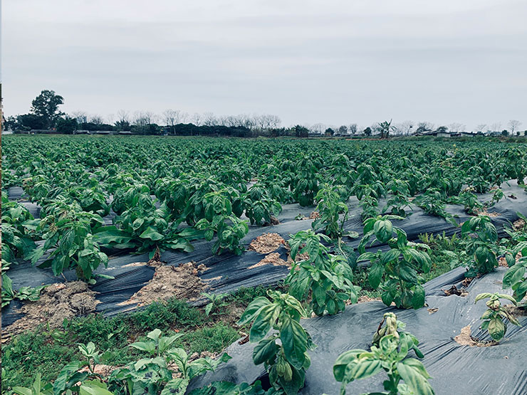 中国·6163天河(股份)有限公司-官方网站