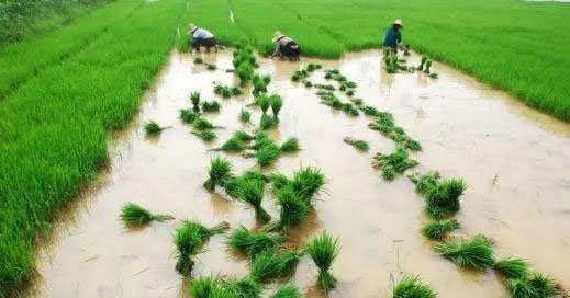 中国·6163天河(股份)有限公司-官方网站