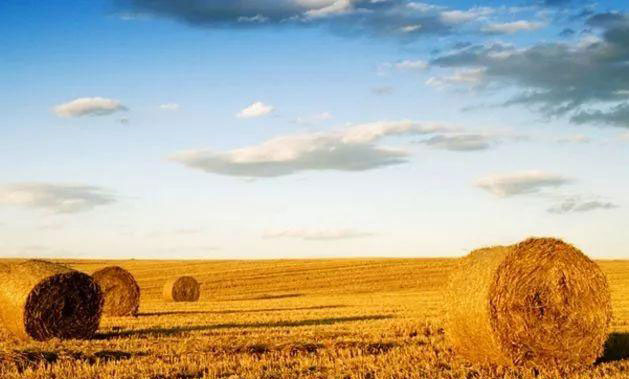 中国·6163天河(股份)有限公司-官方网站