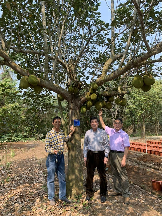 中国·6163天河(股份)有限公司-官方网站