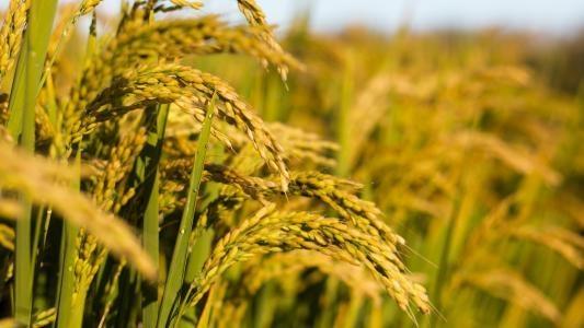 中国·6163天河(股份)有限公司-官方网站