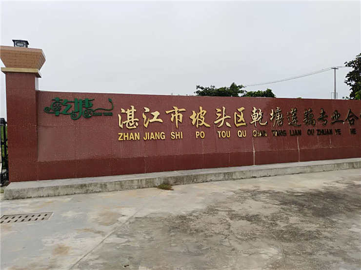 中国·6163天河(股份)有限公司-官方网站