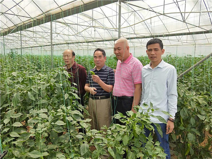 中国·6163天河(股份)有限公司-官方网站