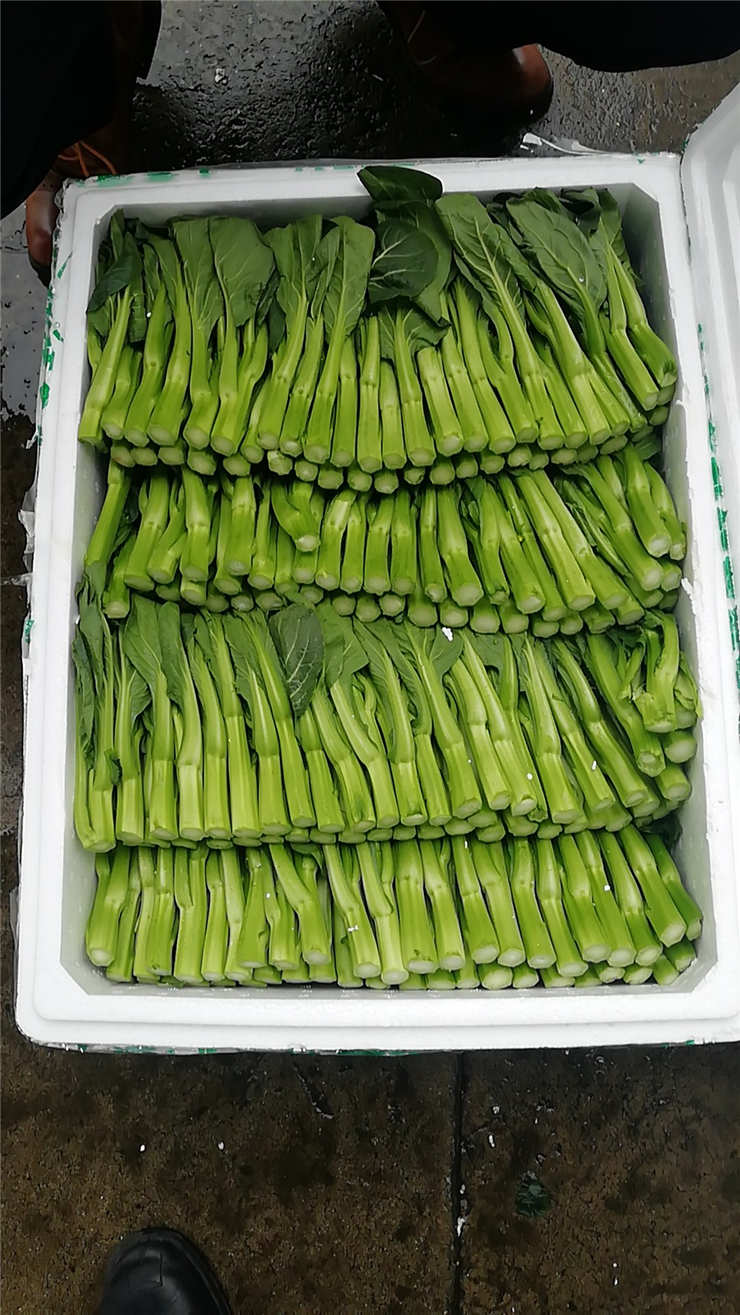 中国·6163天河(股份)有限公司-官方网站