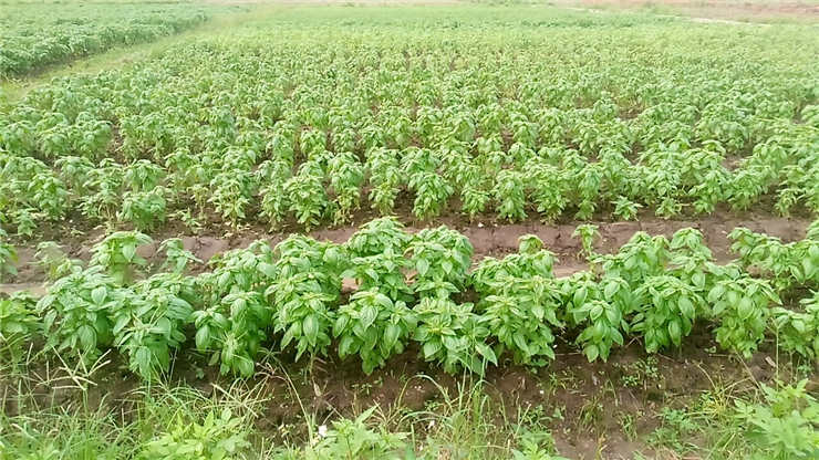 中国·6163天河(股份)有限公司-官方网站