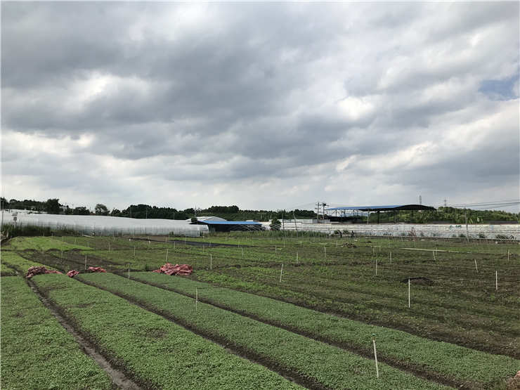 中国·6163天河(股份)有限公司-官方网站