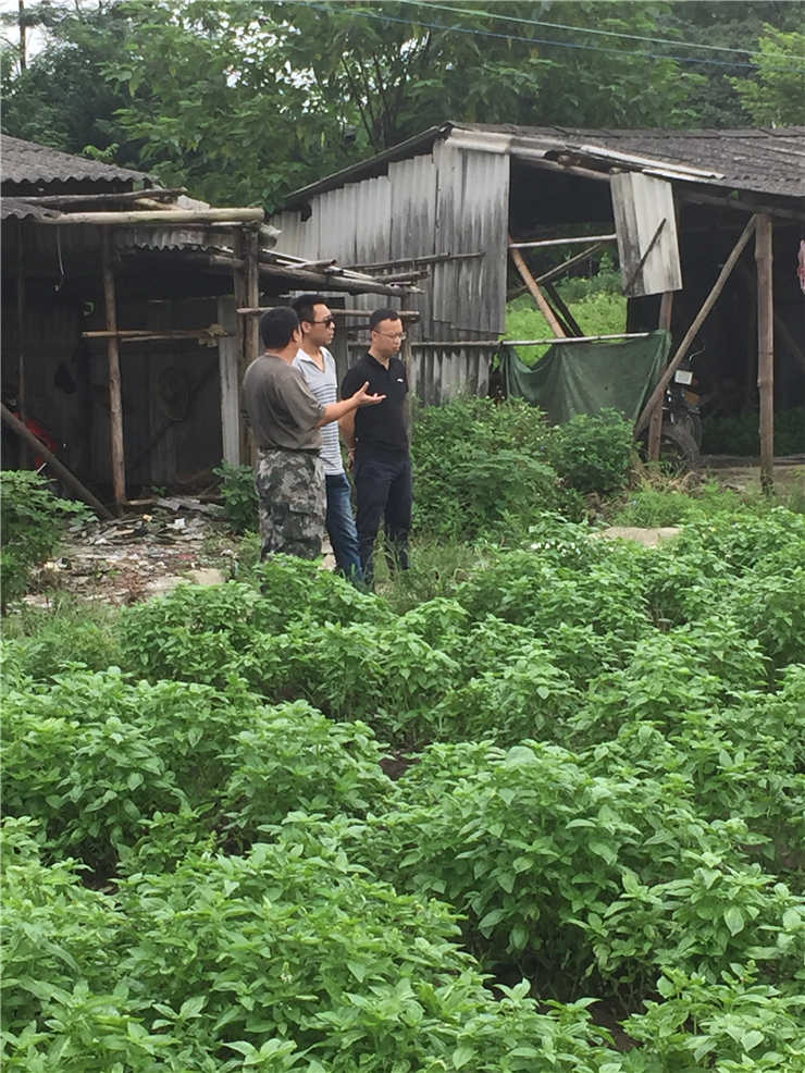 中国·6163天河(股份)有限公司-官方网站