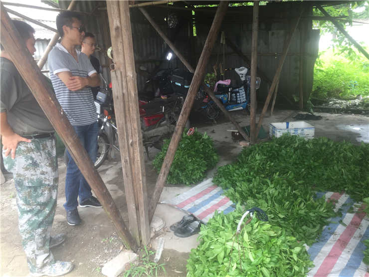 中国·6163天河(股份)有限公司-官方网站