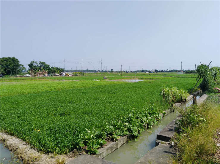 中国·6163天河(股份)有限公司-官方网站