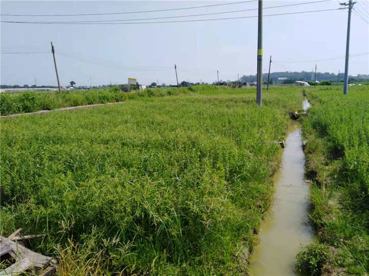 中国·6163天河(股份)有限公司-官方网站