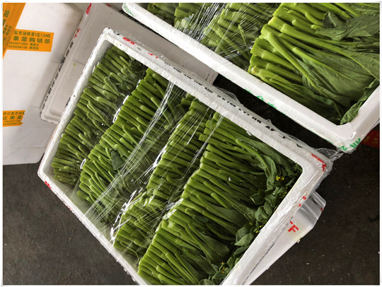 中国·6163天河(股份)有限公司-官方网站