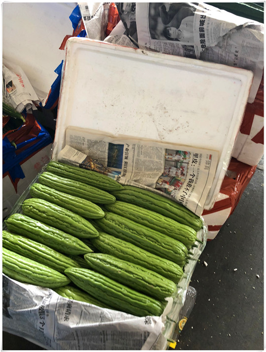 中国·6163天河(股份)有限公司-官方网站