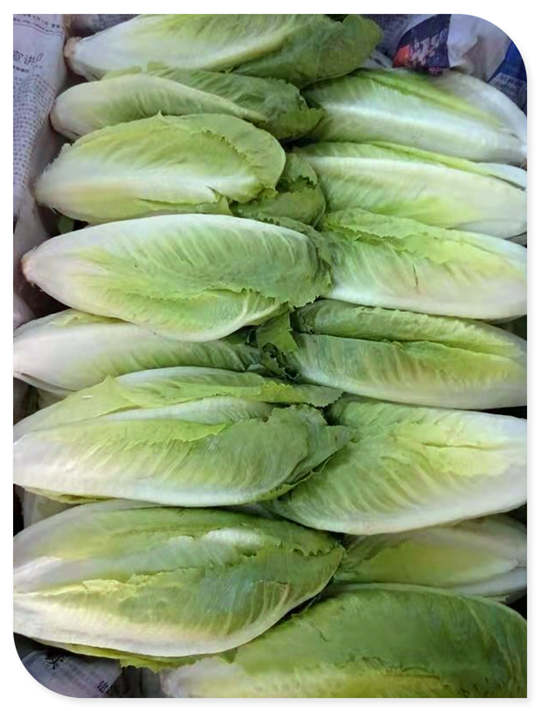 中国·6163天河(股份)有限公司-官方网站