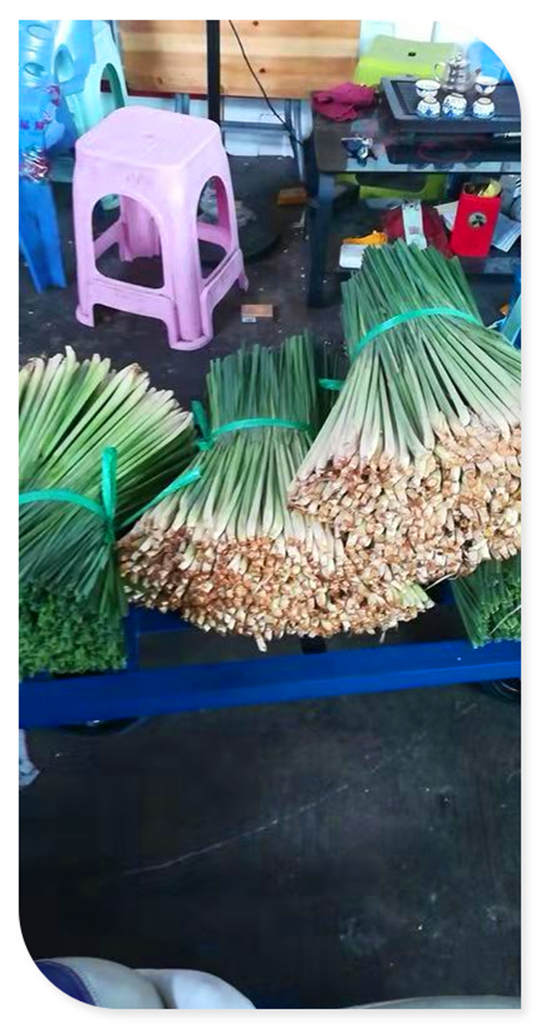 中国·6163天河(股份)有限公司-官方网站