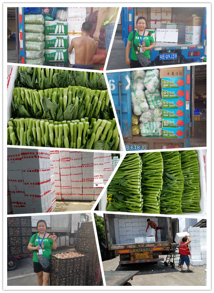 中国·6163天河(股份)有限公司-官方网站