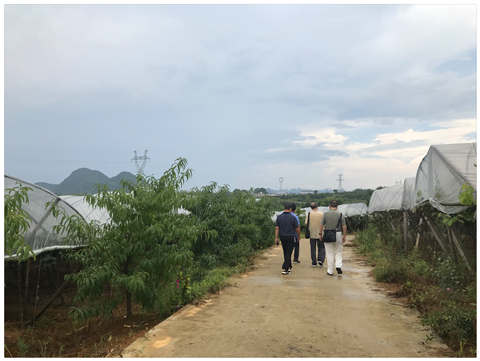 中国·6163天河(股份)有限公司-官方网站