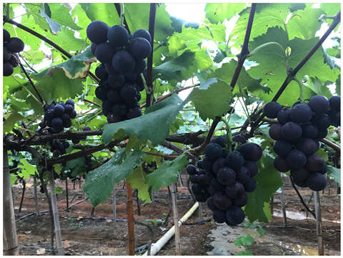 中国·6163天河(股份)有限公司-官方网站