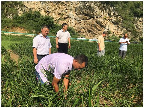 中国·6163天河(股份)有限公司-官方网站