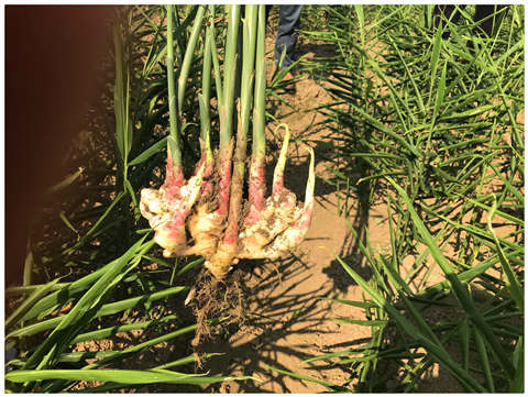 中国·6163天河(股份)有限公司-官方网站