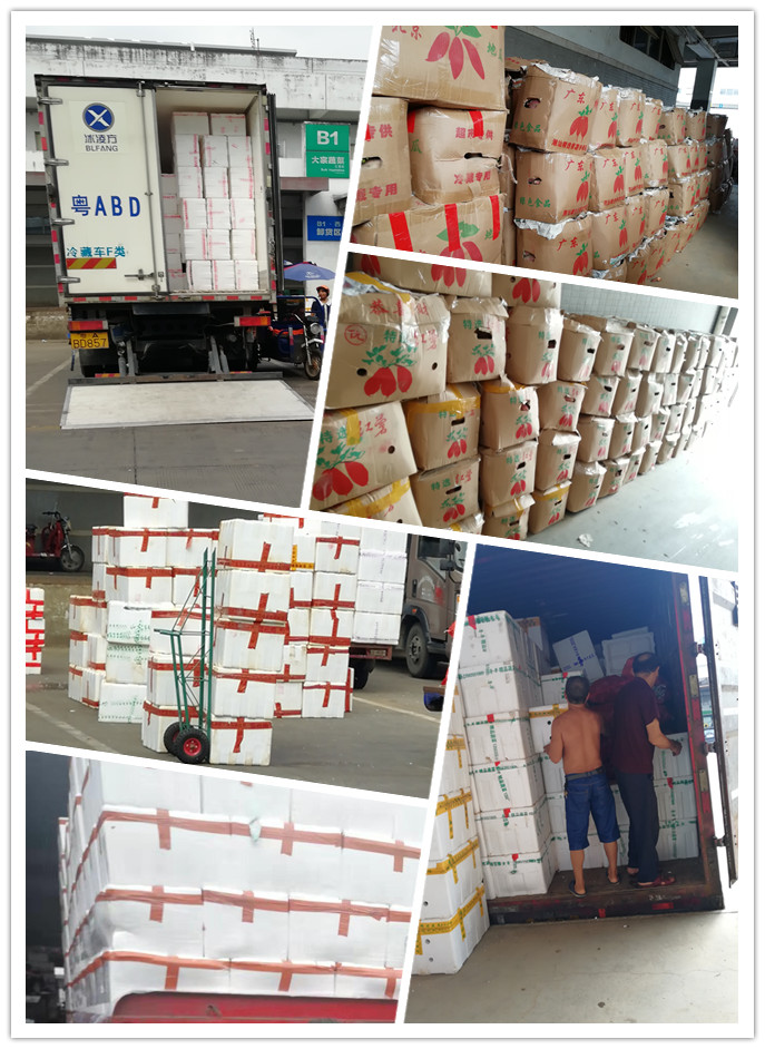 中国·6163天河(股份)有限公司-官方网站