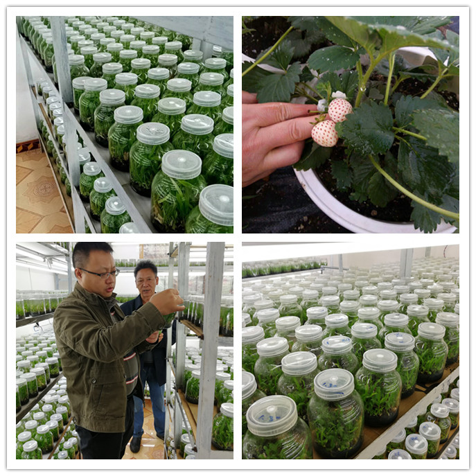 中国·6163天河(股份)有限公司-官方网站