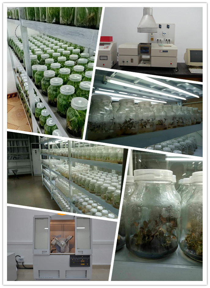 中国·6163天河(股份)有限公司-官方网站