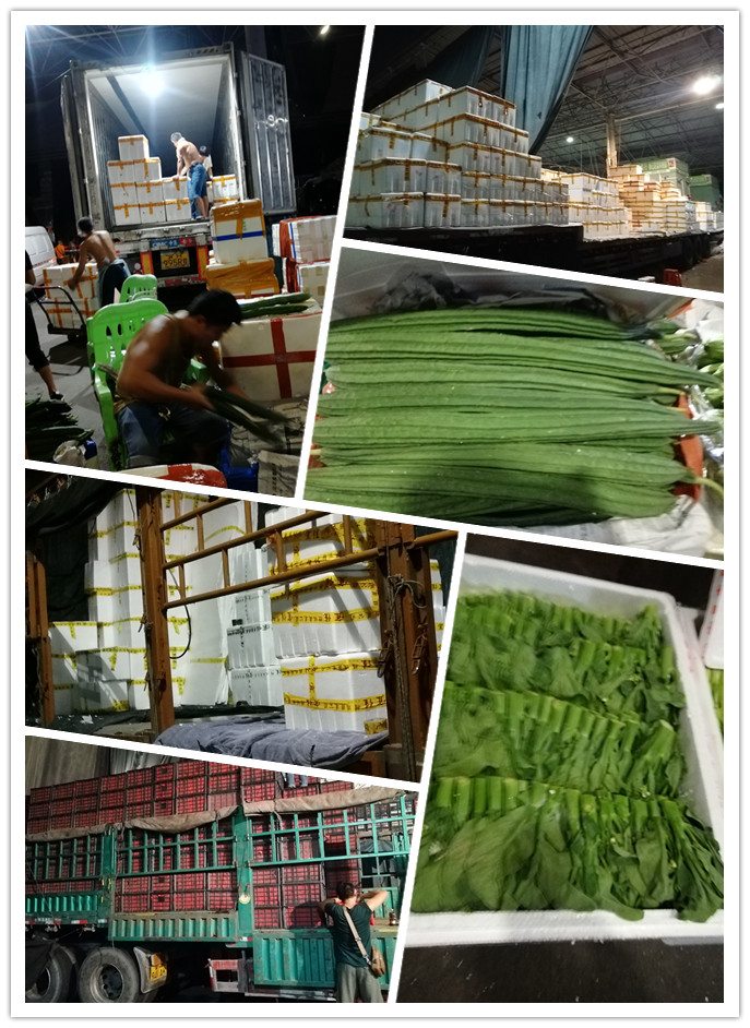 中国·6163天河(股份)有限公司-官方网站