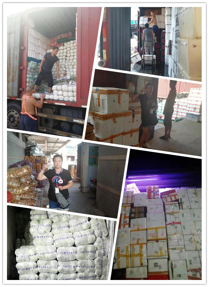 中国·6163天河(股份)有限公司-官方网站