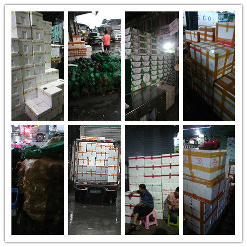 中国·6163天河(股份)有限公司-官方网站