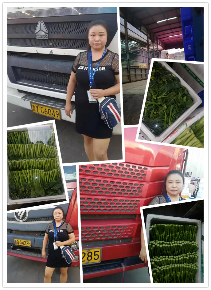 中国·6163天河(股份)有限公司-官方网站