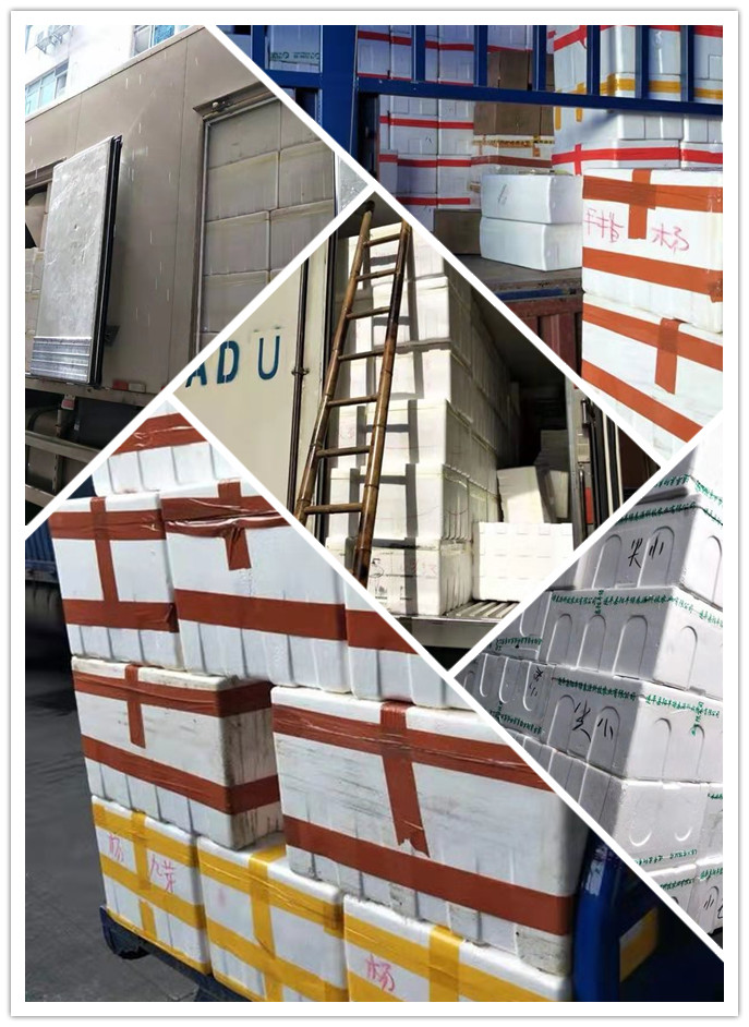 中国·6163天河(股份)有限公司-官方网站