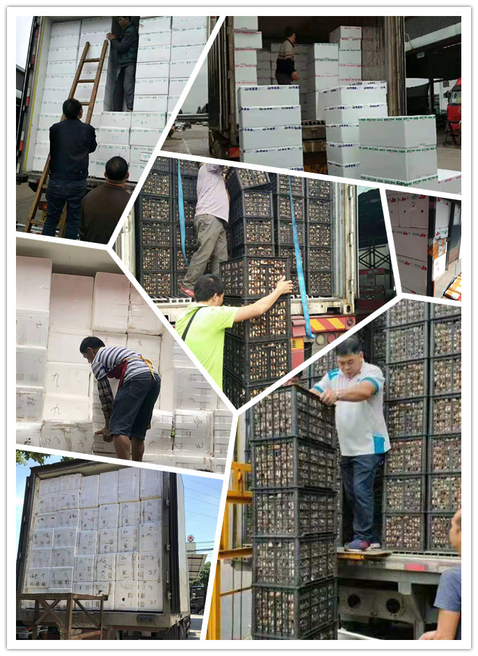 中国·6163天河(股份)有限公司-官方网站