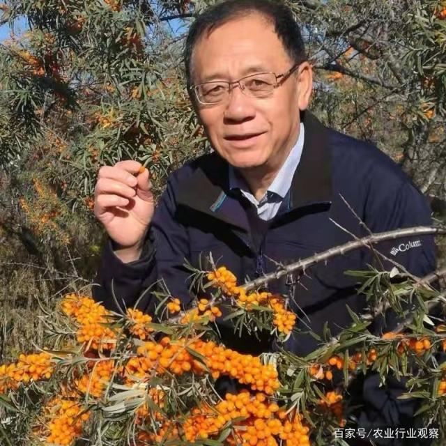 中国·6163天河(股份)有限公司-官方网站