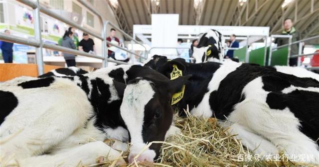 中国·6163天河(股份)有限公司-官方网站