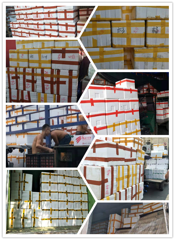 中国·6163天河(股份)有限公司-官方网站