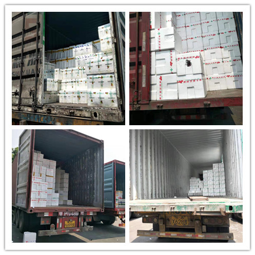 中国·6163天河(股份)有限公司-官方网站